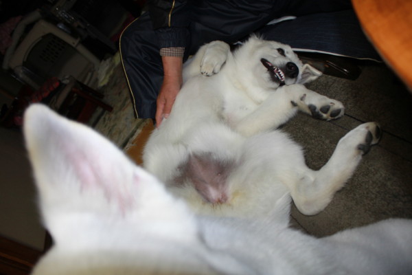 20120518222439