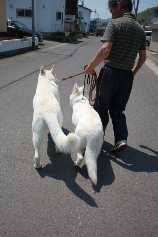 f:id:buhi84shin:20120522203510j:image