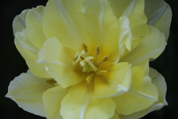 f:id:buhi84shin:20120522204246j:image