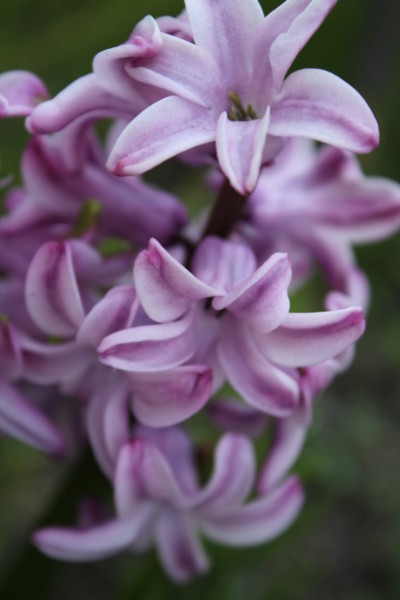 f:id:buhi84shin:20120522204257j:image
