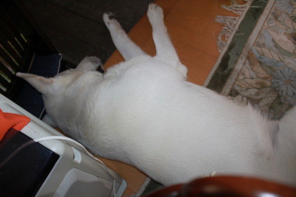 f:id:buhi84shin:20120618215935j:image