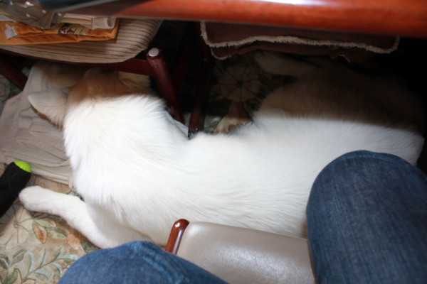 f:id:buhi84shin:20120618215947j:image