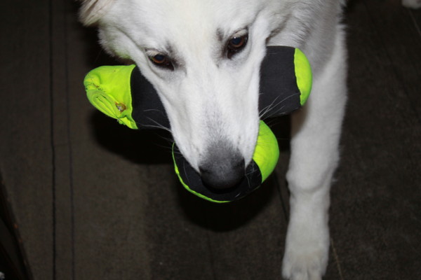 f:id:buhi84shin:20120618221134j:image