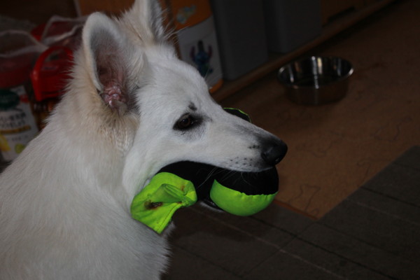 f:id:buhi84shin:20120618221145j:image