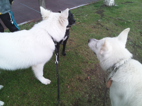 f:id:buhi84shin:20120623224945j:image f:id:buhi84shin:20120623224945j:image