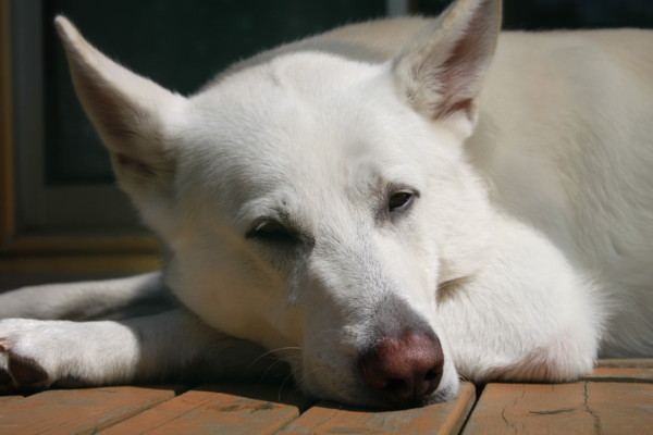 f:id:buhi84shin:20120627220736j:image