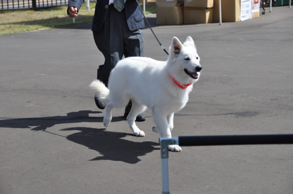 f:id:buhi84shin:20120715201114j:image