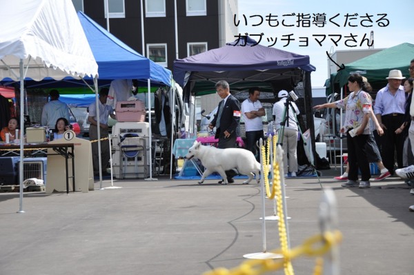 f:id:buhi84shin:20120715202137j:image