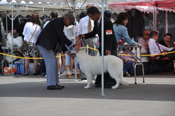 f:id:buhi84shin:20120715204442j:image