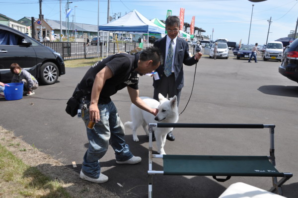 f:id:buhi84shin:20120715204654j:image