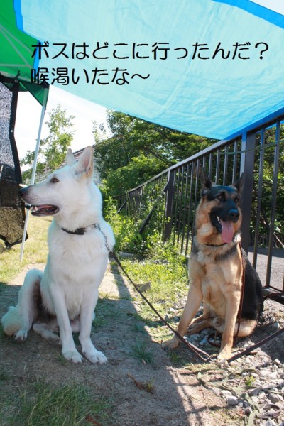 f:id:buhi84shin:20120715222106j:image