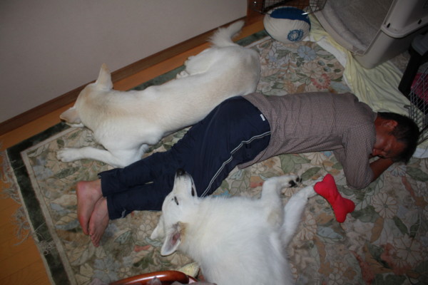 f:id:buhi84shin:20120715222842j:image
