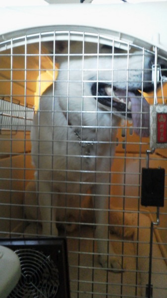 f:id:buhi84shin:20120715222853j:image