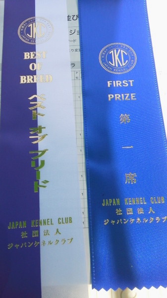 f:id:buhi84shin:20120715223114j:image