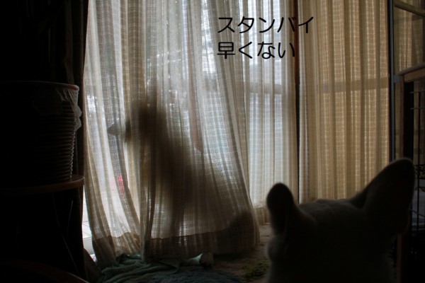 f:id:buhi84shin:20120722204613j:image