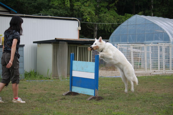 f:id:buhi84shin:20120729195431j:image f:id:buhi84shin:20120729195431j:image