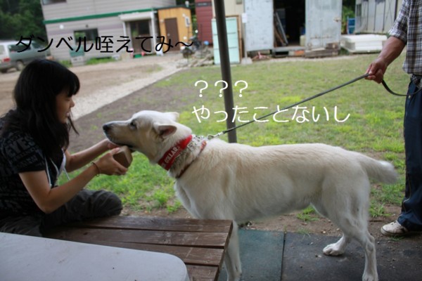 f:id:buhi84shin:20120729201102j:image f:id:buhi84shin:20120729201102j:image