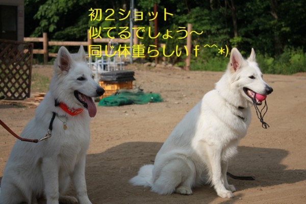 f:id:buhi84shin:20120729201300j:image f:id:buhi84shin:20120729201300j:image