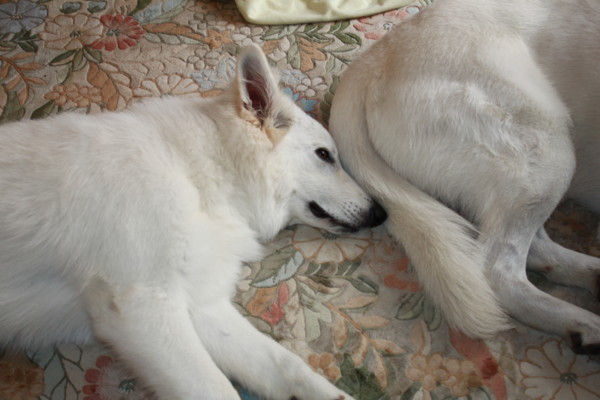 f:id:buhi84shin:20120729202135j:image f:id:buhi84shin:20120729202135j:image