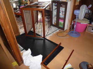 f:id:buhi84shin:20120807083323j:image