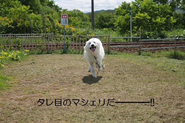 f:id:buhi84shin:20120807201702j:image