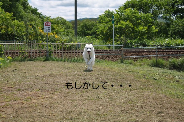 f:id:buhi84shin:20120807201705j:image