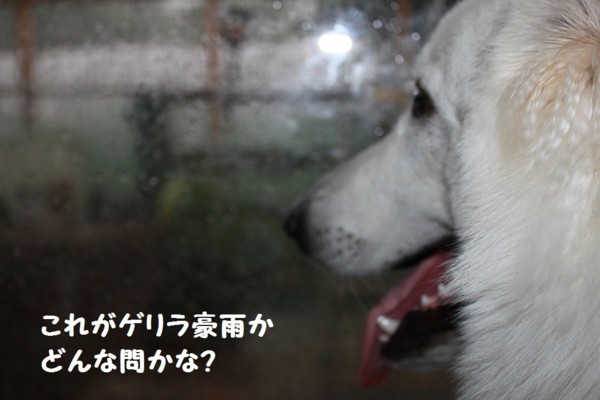 f:id:buhi84shin:20120810205810j:image