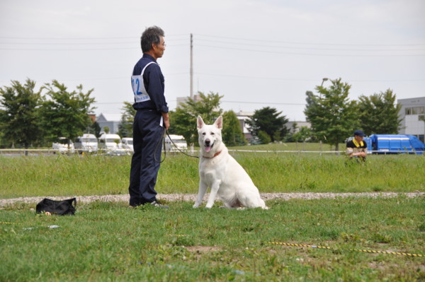 f:id:buhi84shin:20120819193717j:image f:id:buhi84shin:20120819193717j:image