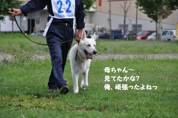 f:id:buhi84shin:20120819194636j:image f:id:buhi84shin:20120819194636j:image