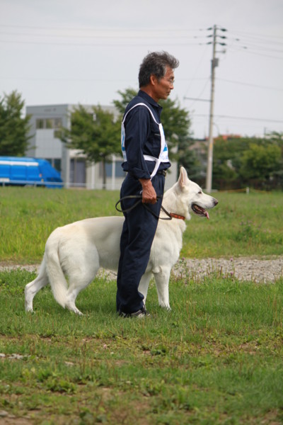 f:id:buhi84shin:20120819201250j:image f:id:buhi84shin:20120819201250j:image
