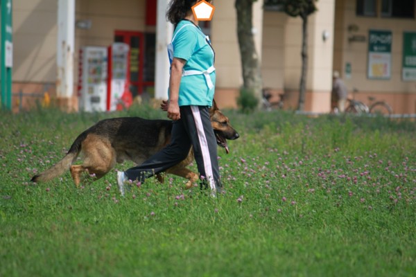 f:id:buhi84shin:20120819204100j:image f:id:buhi84shin:20120819204100j:image