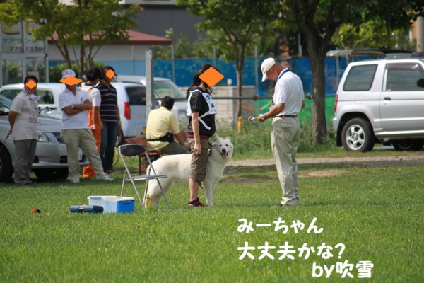 f:id:buhi84shin:20120819204914j:image f:id:buhi84shin:20120819204914j:image