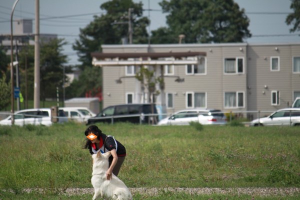 f:id:buhi84shin:20120819205012j:image f:id:buhi84shin:20120819205012j:image