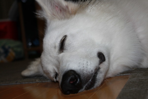 f:id:buhi84shin:20120819205228j:image f:id:buhi84shin:20120819205228j:image