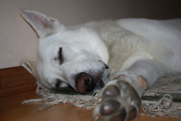 f:id:buhi84shin:20120819205238j:image f:id:buhi84shin:20120819205238j:image