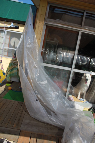 f:id:buhi84shin:20120830223021j:image