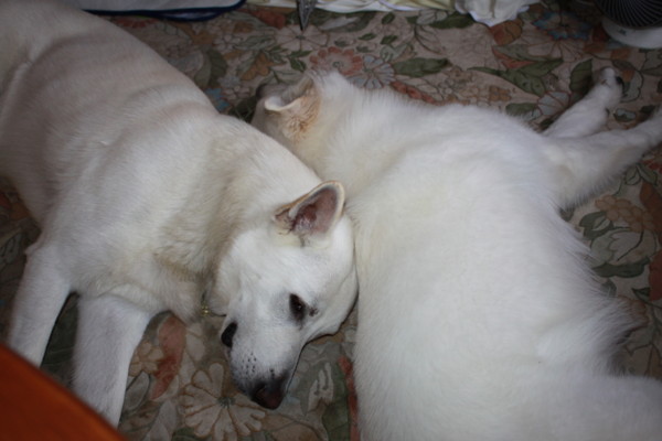 f:id:buhi84shin:20120830223300j:image