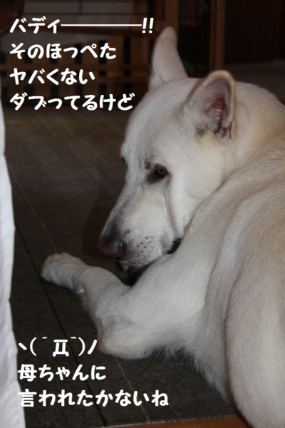 f:id:buhi84shin:20120902230249j:image