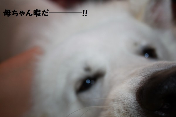 f:id:buhi84shin:20120909220644j:image f:id:buhi84shin:20120909220644j:image