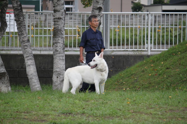 f:id:buhi84shin:20120917205842j:image