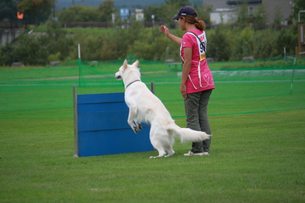 f:id:buhi84shin:20120917212814j:image