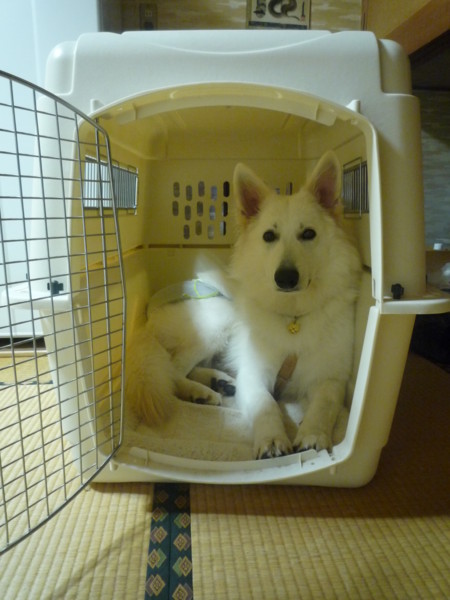 f:id:buhi84shin:20121004143158j:image f:id:buhi84shin:20121004143158j:image