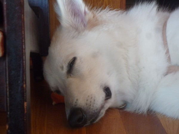 f:id:buhi84shin:20121004143858j:image f:id:buhi84shin:20121004143858j:image