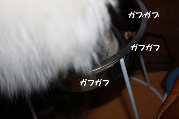 f:id:buhi84shin:20121101203611j:image f:id:buhi84shin:20121101203611j:image