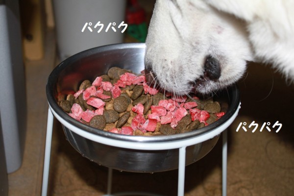 f:id:buhi84shin:20121101203612j:image f:id:buhi84shin:20121101203612j:image
