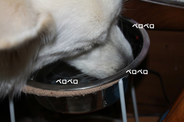 f:id:buhi84shin:20121101205630j:image f:id:buhi84shin:20121101205630j:image