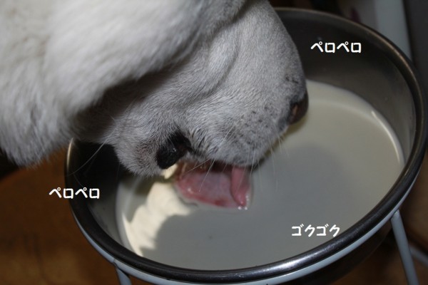 f:id:buhi84shin:20121101205646j:image f:id:buhi84shin:20121101205646j:image
