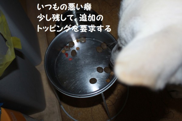f:id:buhi84shin:20121101205649j:image f:id:buhi84shin:20121101205649j:image