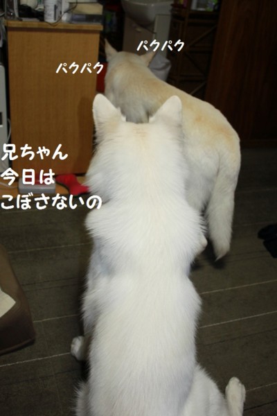 f:id:buhi84shin:20121101205651j:image f:id:buhi84shin:20121101205651j:image