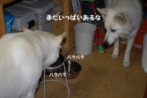 f:id:buhi84shin:20121101205652j:image f:id:buhi84shin:20121101205652j:image